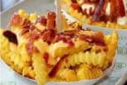 Best Cheese bacon fries in Snellville, GA